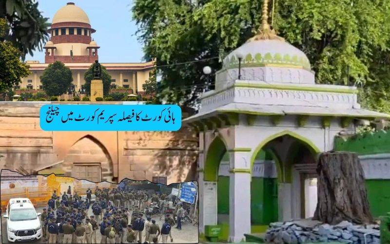 بھوج شالہ۔کمال مسجد معاملہ پہنچا سپریم کورٹ:مسلم فریق نے ہائی کورٹ کے فیصلہ کوکیا چیلنج 